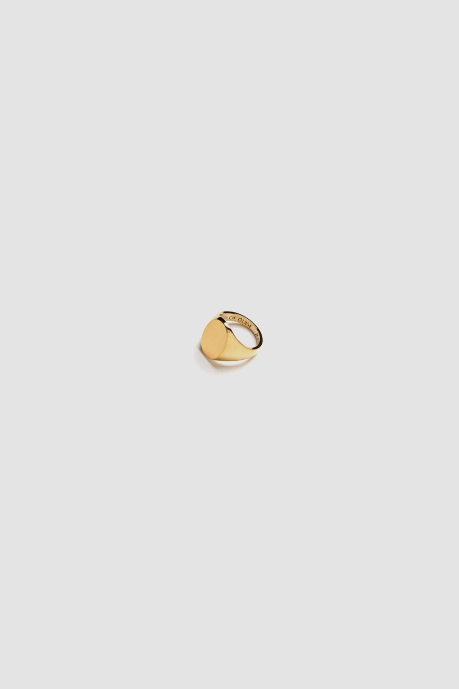 A Kind of Guise Signet Ring Solid Gold